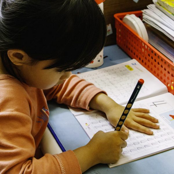 linea_accion_educacion2